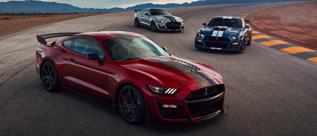 Mustang-Picture3.jpg
