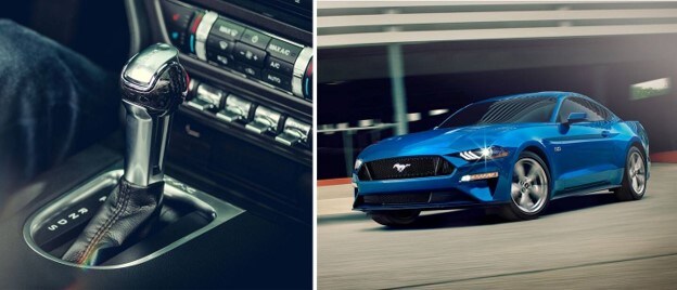 Mustang-Picture7.jpg
