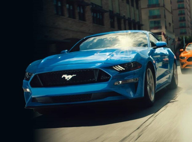 Mustang-Picture2.jpg