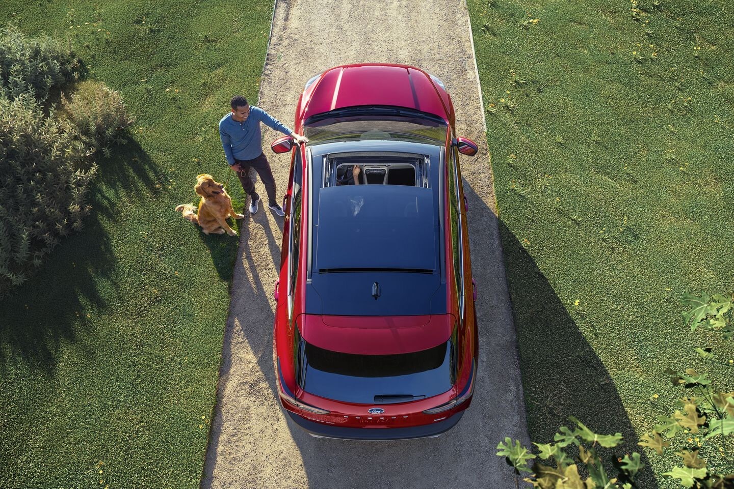8-7-19SEO_FordEscape-3.jpg