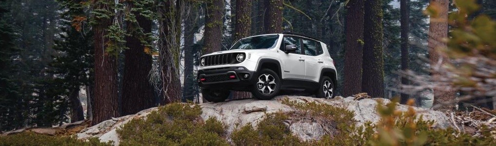2019 Jeep Rengade