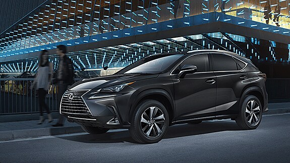 NX 300 LUXURY.png