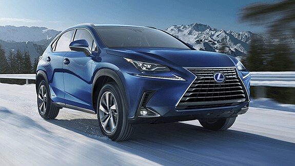 NX 300H LUXURY.png