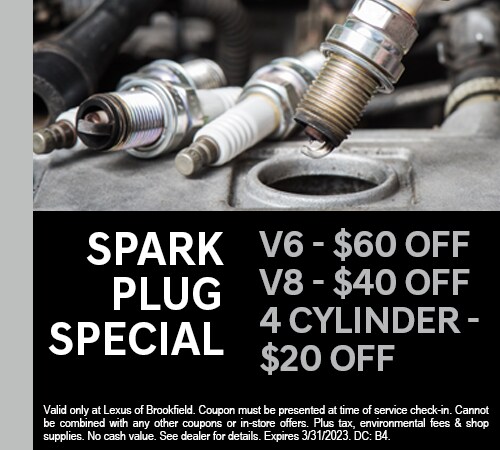 Spark Plug Special
