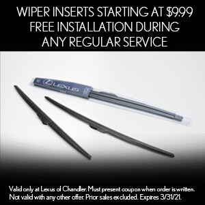 Wiper Inserts.jpg