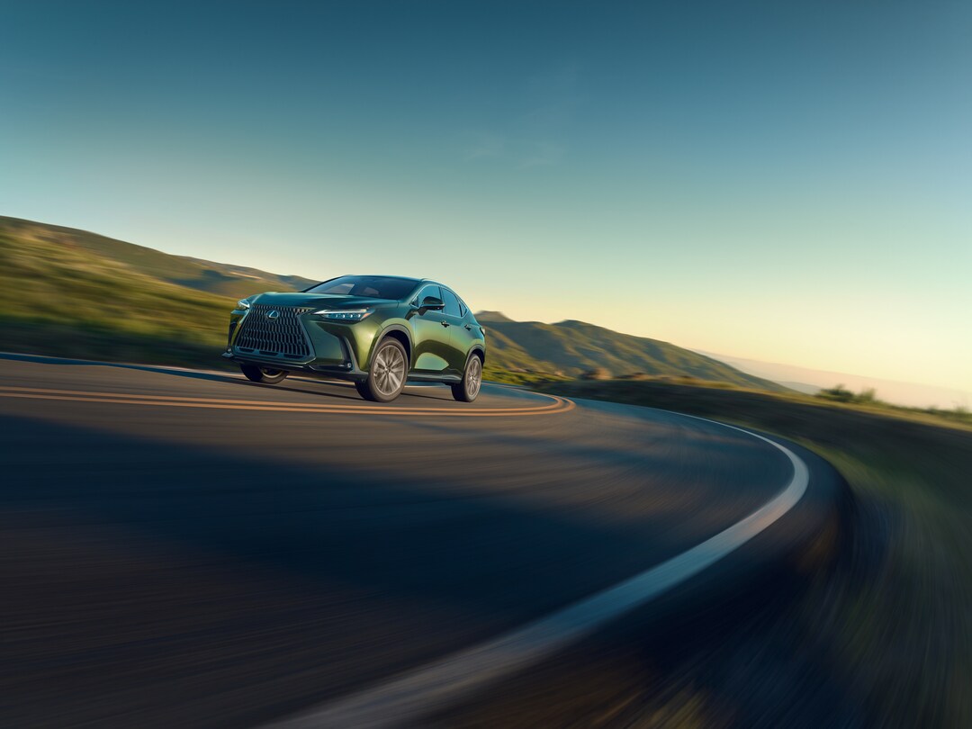 2025 Lexus NX
