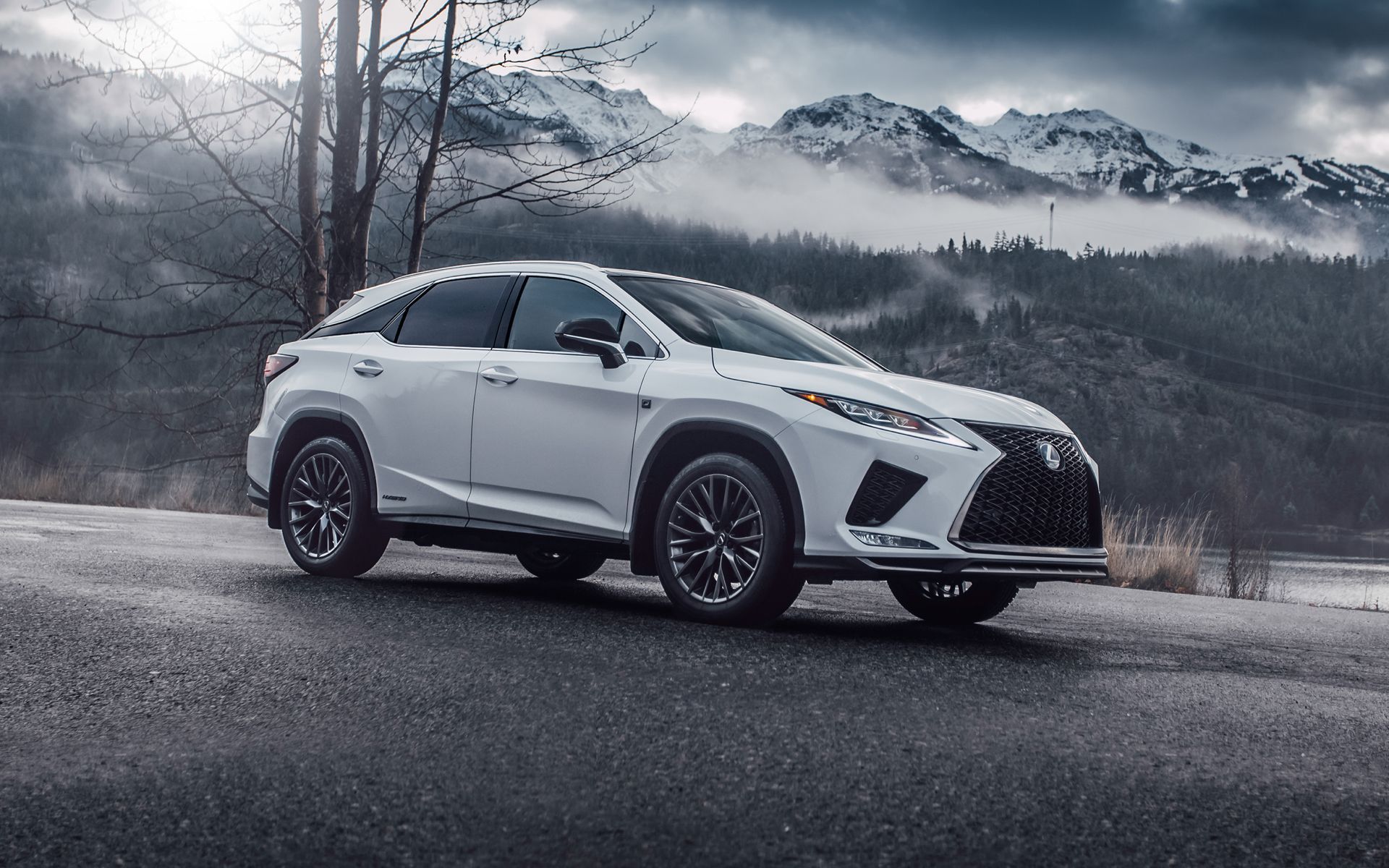 2022 Lexus RX 2022 Lexus RX