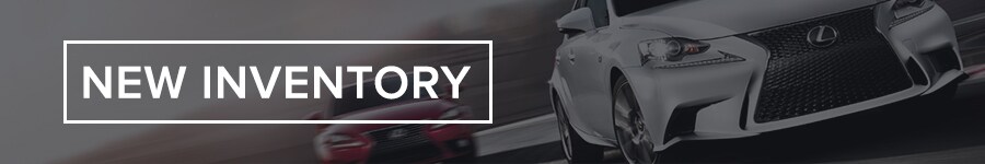 LL_newinventory_header.jpg