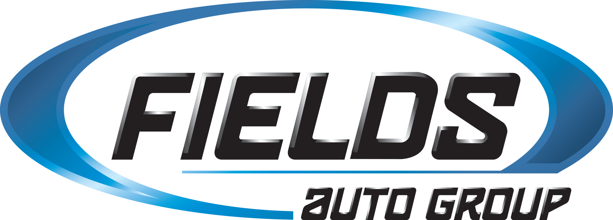 FLDS-VECTOR-BLUE (2).png