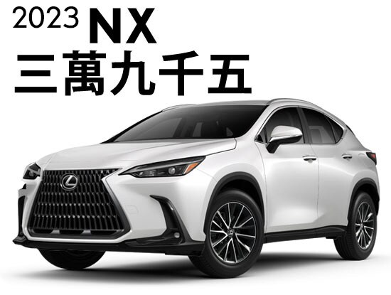 nx_white.jpg