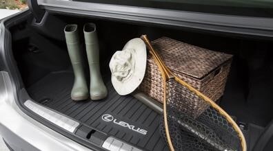 Trunk Tray.jpg