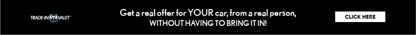 banner.png