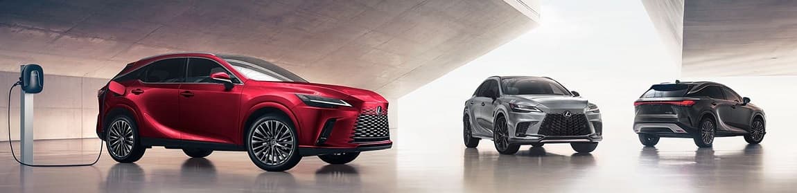 Lexus RX Model Trims