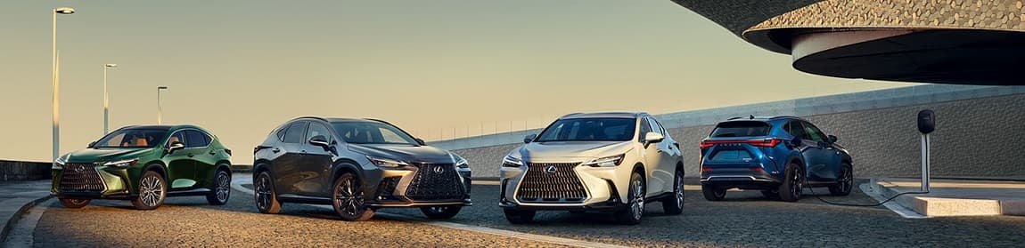Lexus NX Wazyata, MN Lexus NX Wazyata, MN