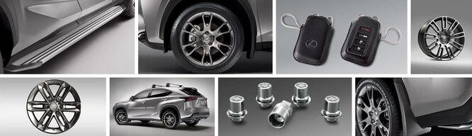 Accessories Lexus Parts and Service.jpg