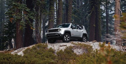 Jeep Cherokee Jeep Cherokee in forest