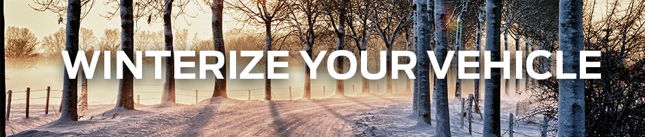 winterize your car