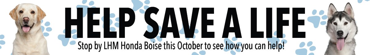Help Save A Life - Donate to National Adopt a Shelter Dog Month at Honda Boise
