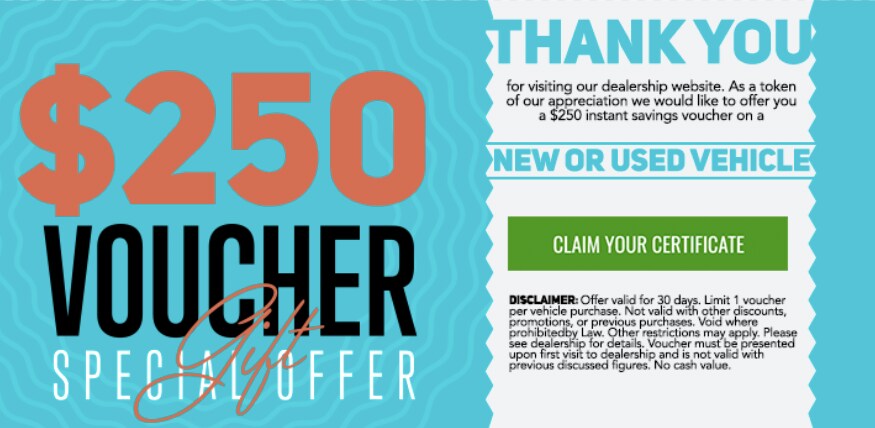 250-voucher.png