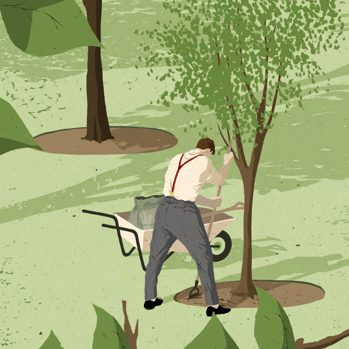 Stewardship