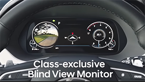 class exclusive blind view monitor