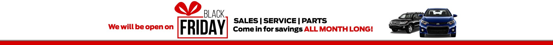 Black Friday Specials