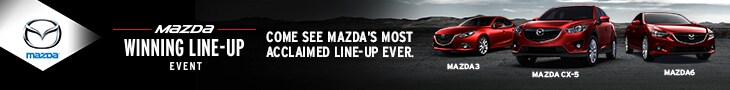 SummerEvent_Dealerskin_730x90.jpg