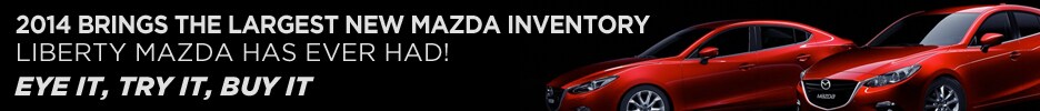 2014 Big Inventory Banner.jpg