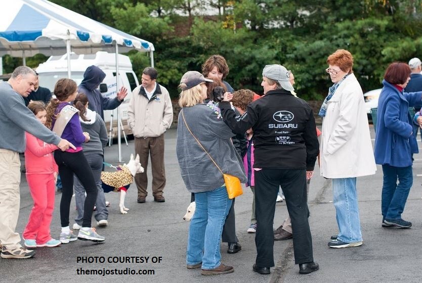pet adoption1.JPG