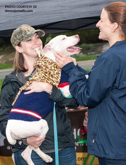 petadoption11.JPG