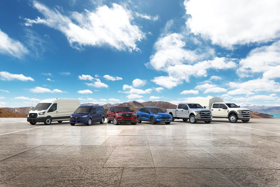 2020 Ford Lineup