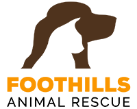 Foothills Animal Rescue