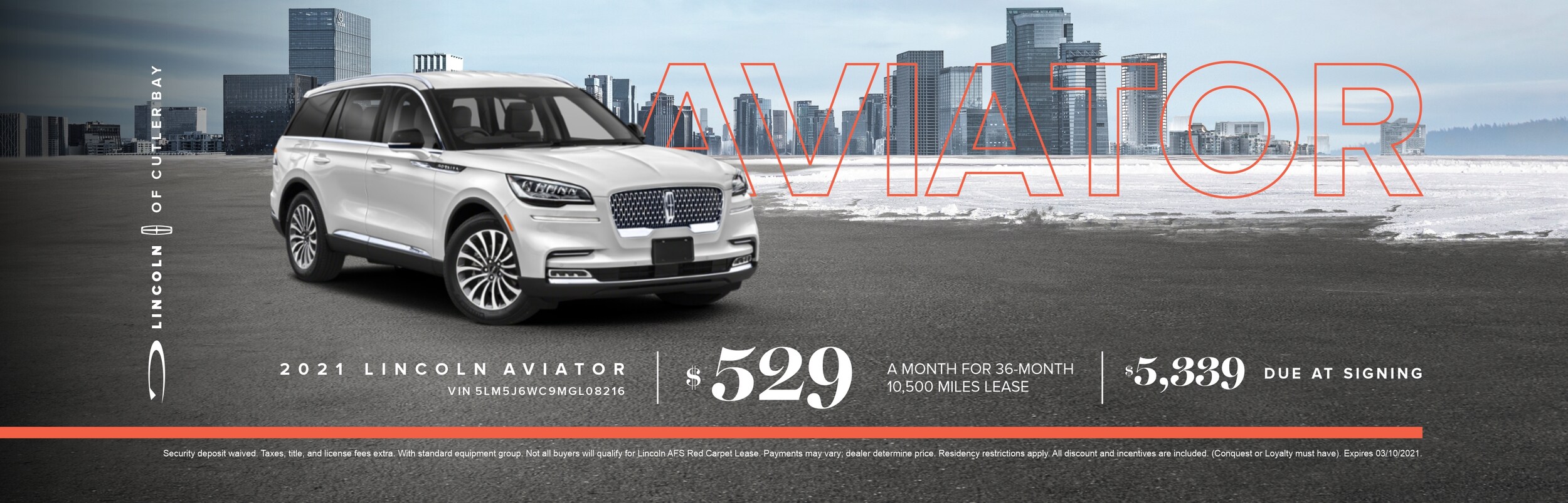 JAN 2021_Web banners_AVIATOR.jpg