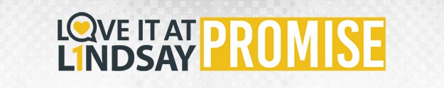 LindsayPromise_LP625x125_UsedPromise2016.jpg