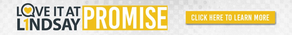 LindsayPromise_SRP_UsedPromise2016.jpg