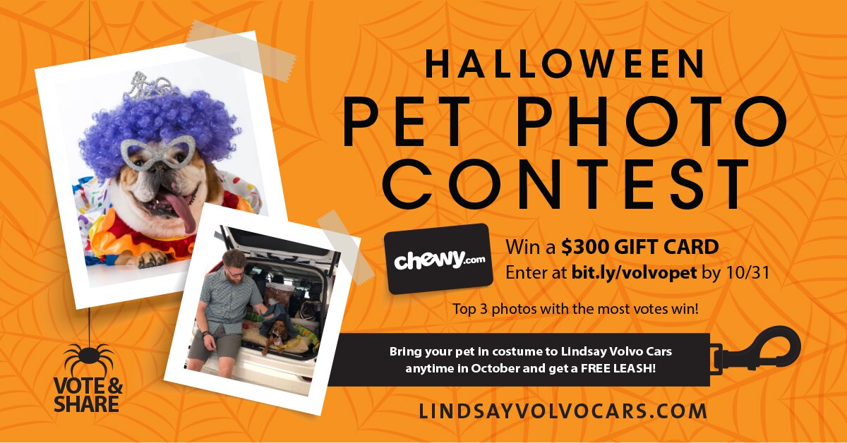 VolvoPetPhotoContest_FB_1200x628.jpg