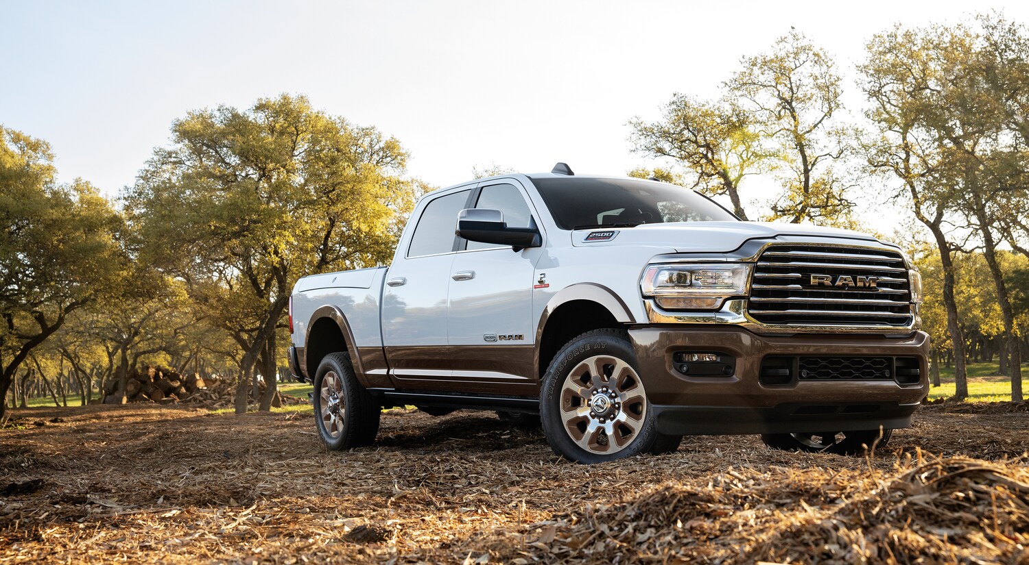 2021-RAM-2500-LaramieLonghorn-CrewCab-Truck-L02 (5).png white Ram 2500 heavy duty truck parked on a bed of woodchips