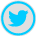 Twitter-Share.png
