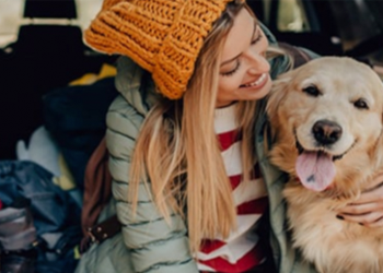 Best Dog-friendly Vehicless Best Dog-friendly Vehicles