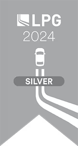 Lithia & Driveway Partners Group 2024 Silver Award Lithia & Driveway Partners Group 2024 Silver Award