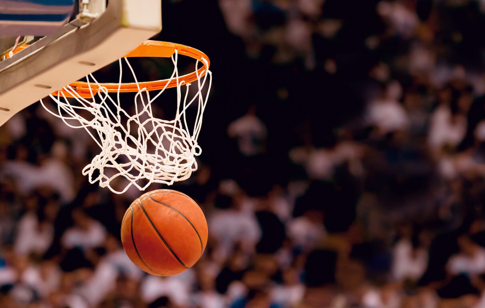Montana Grizzlies Sponsorship