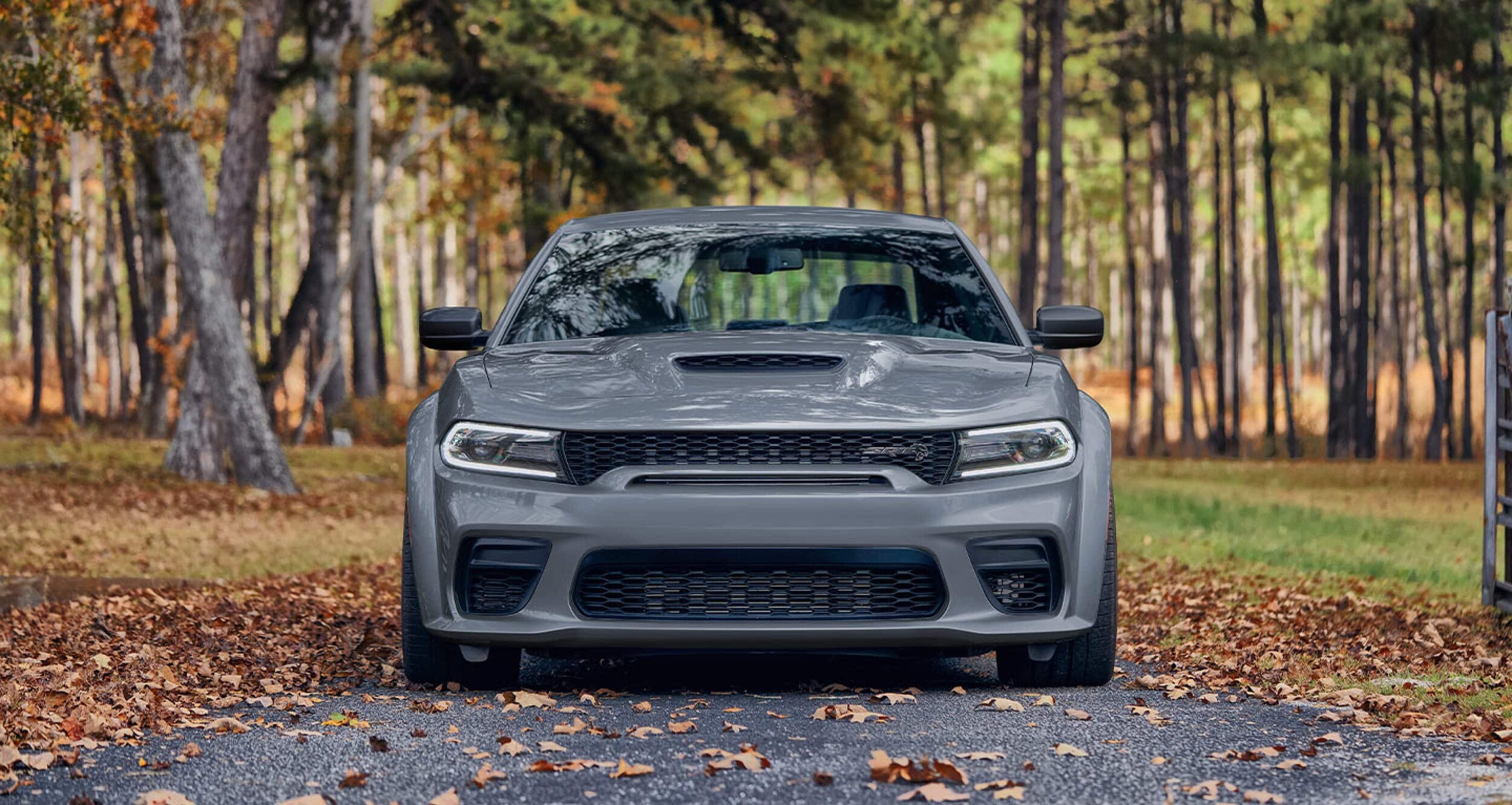 light grey Dodge Charger parked in a leafy road