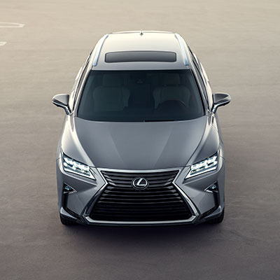 2019 Lexus RX 2019 Lexus RX Safety Options