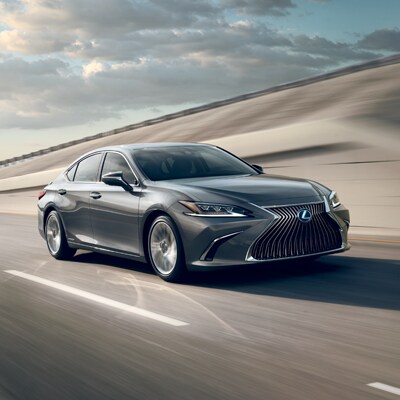 2019 Lexus ES 2019 Lexus ES Safety Options