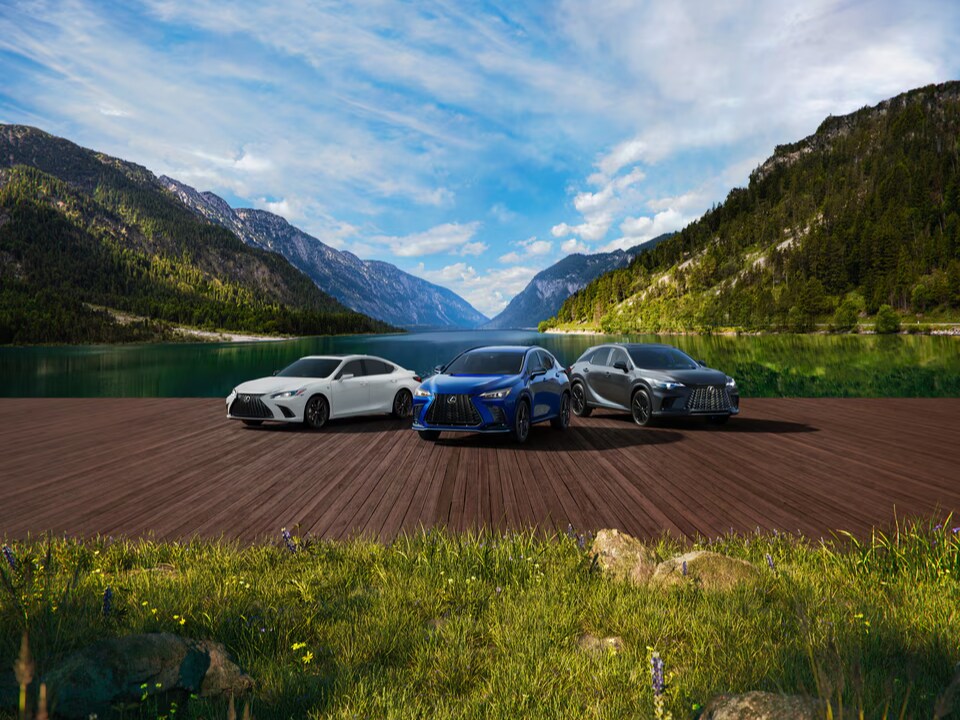 lexus used line up