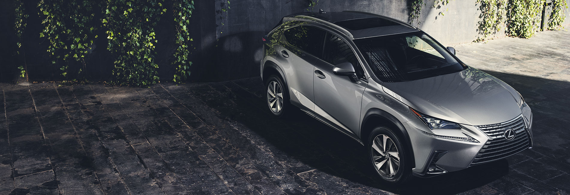 2019 Lexus NX 2019 Lexus NX Exterior Features
