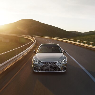 2019 Lexus LS 2019 Lexus LS Safety Options