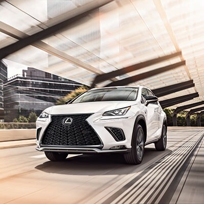 2019 Lexus NX 2019 Lexus NX Bold Exterior