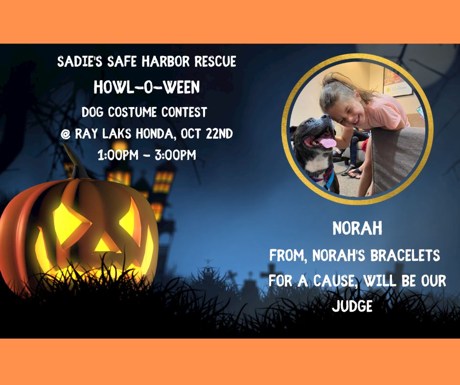 Howl-o-ween 2.jpg