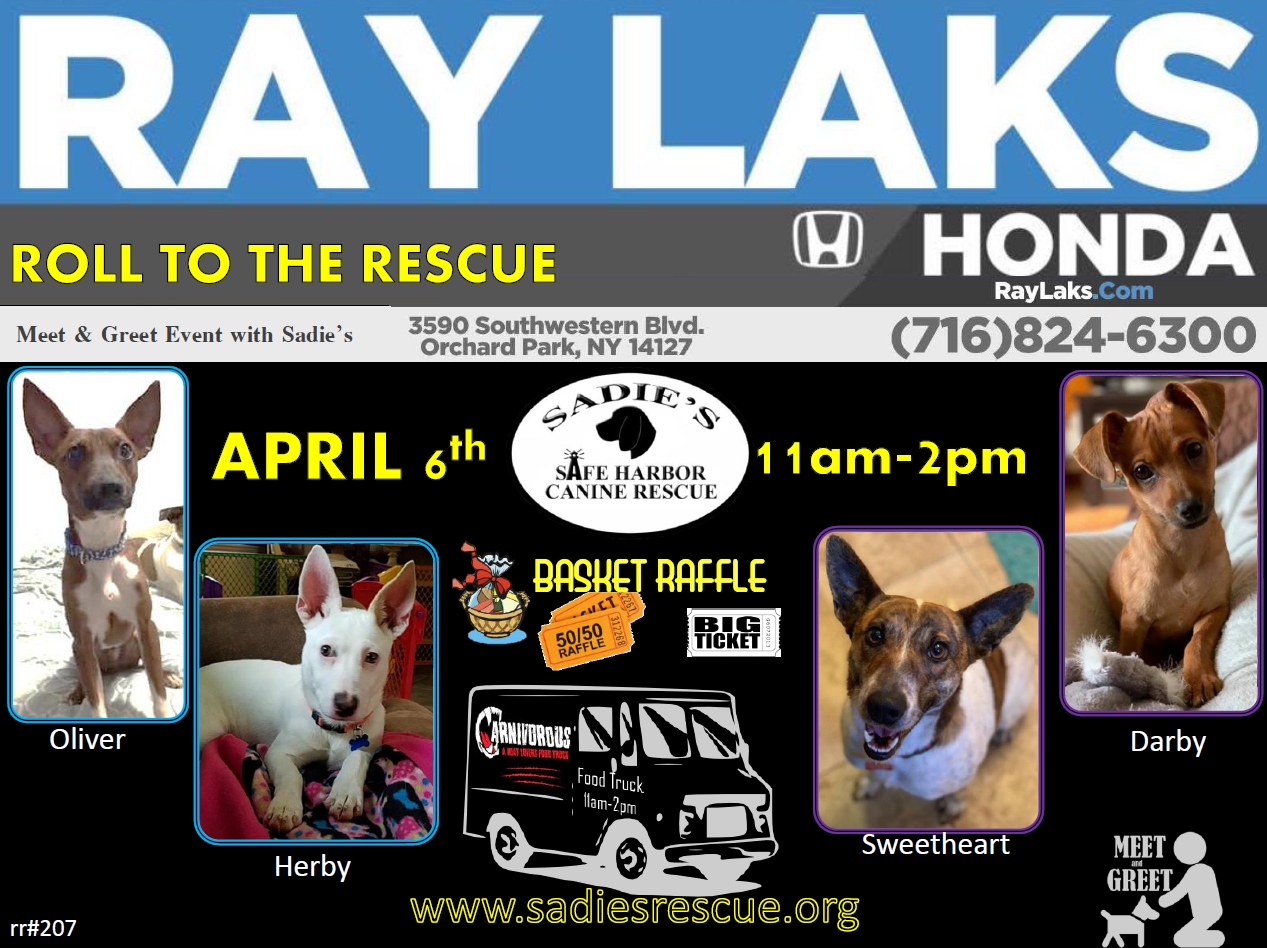 pet_rescue_adoption_event.png